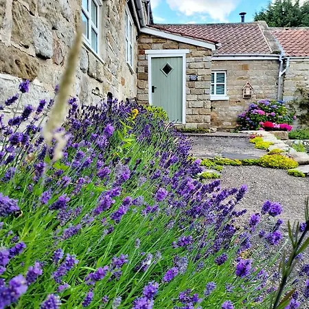 Σπίτι διακοπών Underhill Γουίτμπι