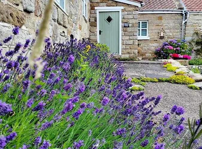 度假居 Underhill 惠特比